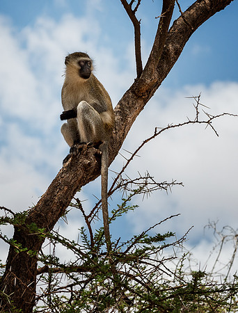 20130909_Kenya_0025