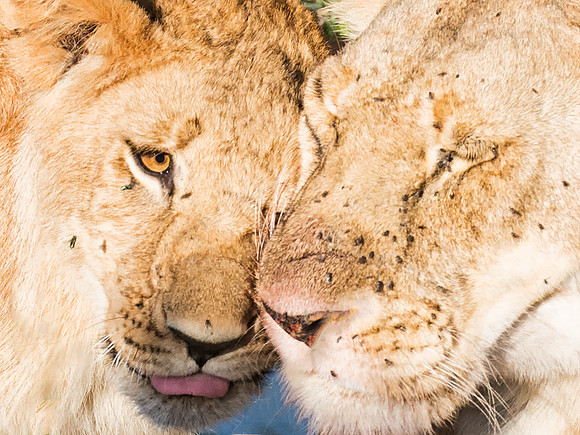 20130913_Kenya_0005-2