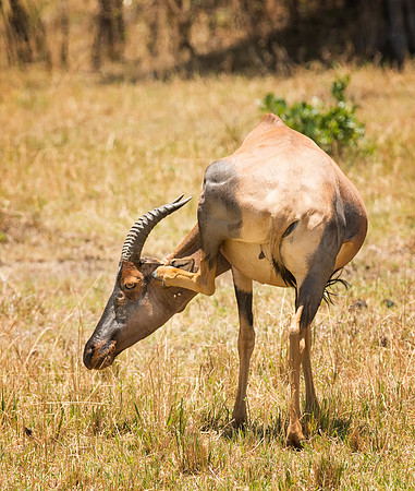20130913_Kenya_0021