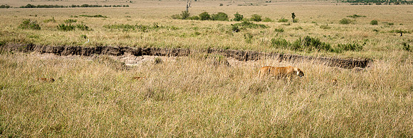 20130916_Kenya_0001-3