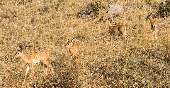 20130917_Kenya_0062