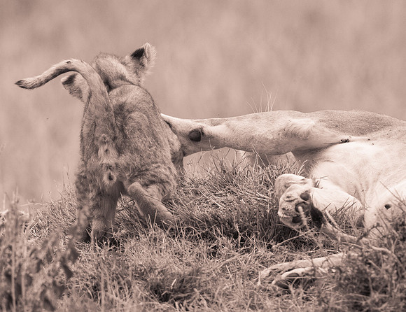 20130919_Kenya_0063