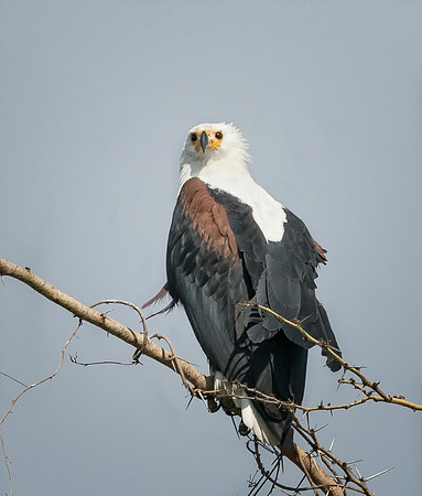 20130912_Kenya_0001