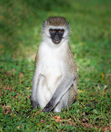 20130912_Kenya_0009
