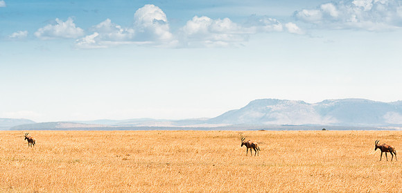 20130913_Kenya_0027