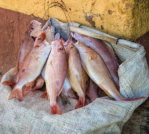 20140129_cuba_0324-3-Edit
