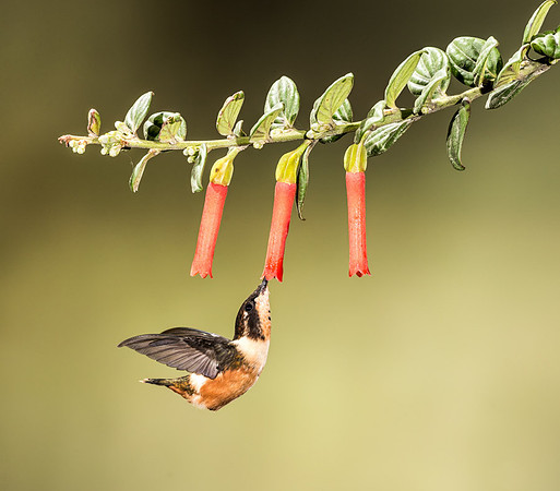 20150106_Ecuador_0010