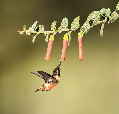 20150106_Ecuador_0003