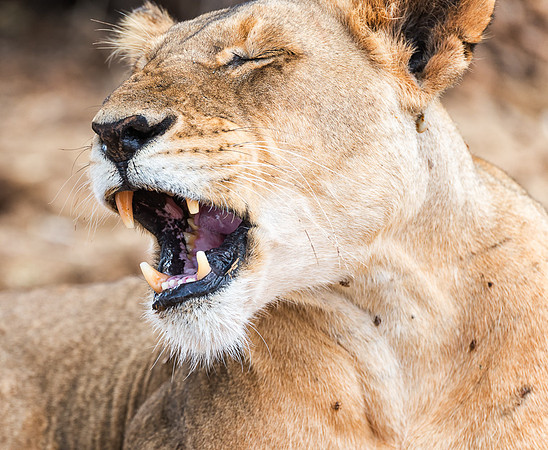 20130909_Kenya_0020-2
