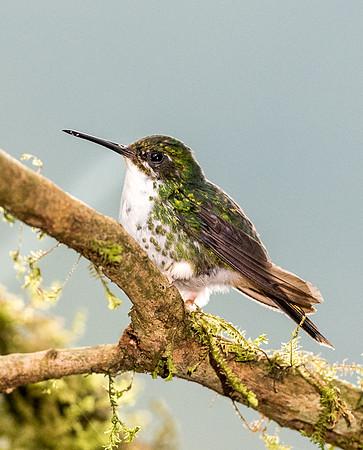 20150105_Ecuador_0001