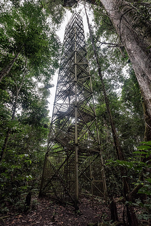20150118_Ecuador_0022
