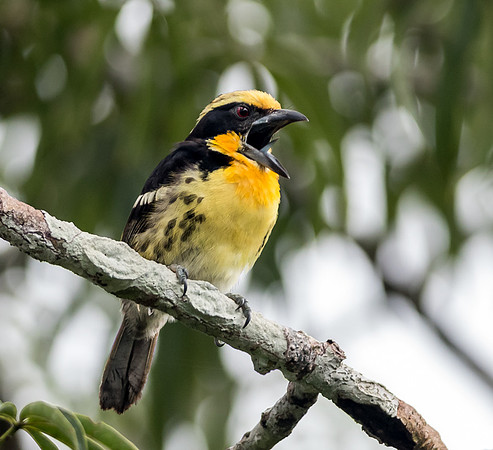 20150118_Ecuador_0013