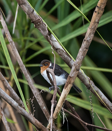 20150117_Ecuador_0014