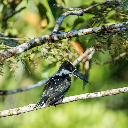 20150118_Ecuador_0022