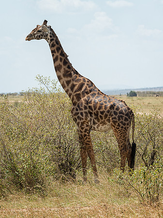 20130913_Kenya_0024