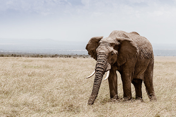20130907_Kenya_0018