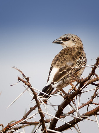 20130908_Kenya_0001-10
