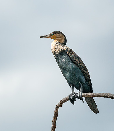 20130912_Kenya_0020