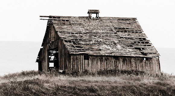 Palouse (1 of 69)