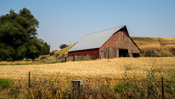 Palouse (8 of 69)