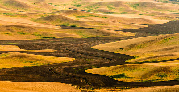 Palouse (10 of 69)