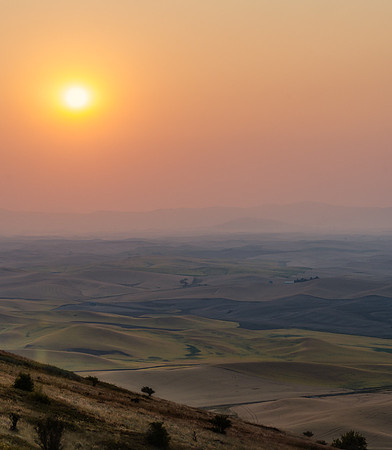 Palouse (12 of 69)