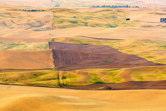 Palouse (13 of 69)