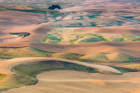 Palouse (14 of 69)