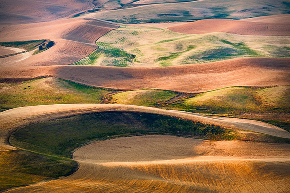 Palouse (15 of 69)