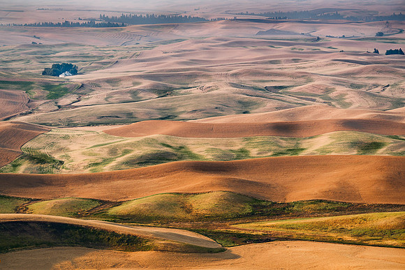 Palouse (16 of 69)