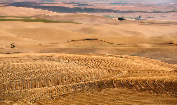 Palouse (17 of 69)