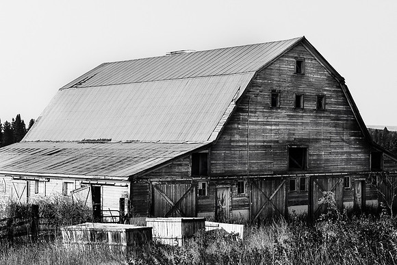 Palouse (21 of 69)