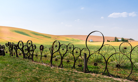 Palouse (24 of 69)