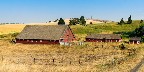 Palouse (25 of 69)