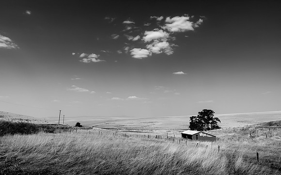 Palouse (26 of 69)