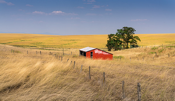 Palouse (27 of 69)