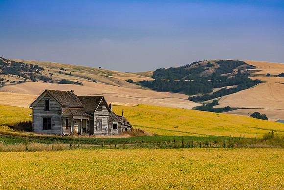 Palouse (31 of 69)