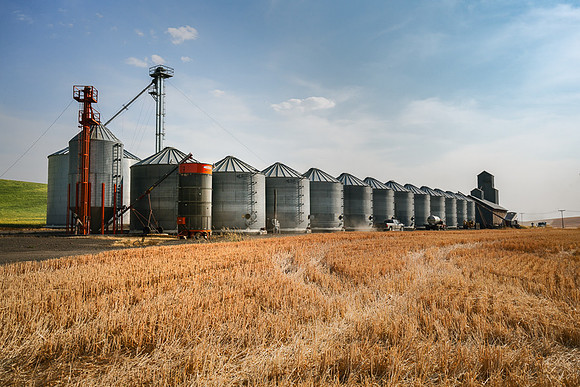 Palouse (33 of 69)