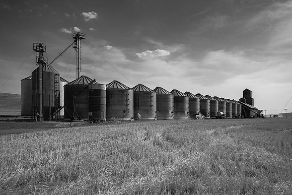 Palouse (34 of 69)