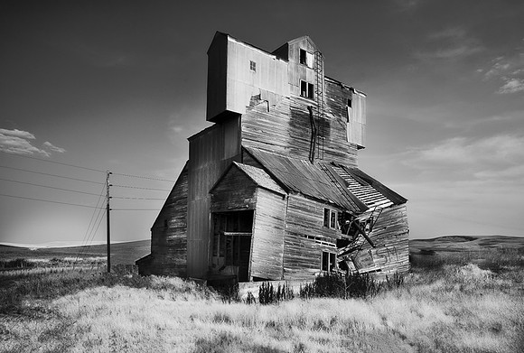 Palouse (35 of 69)