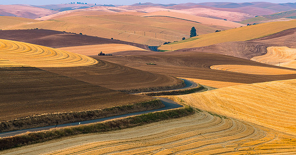 Palouse (37 of 69)