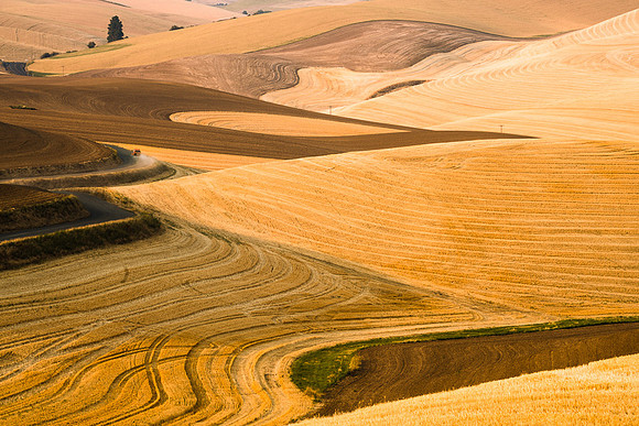 Palouse (38 of 69)