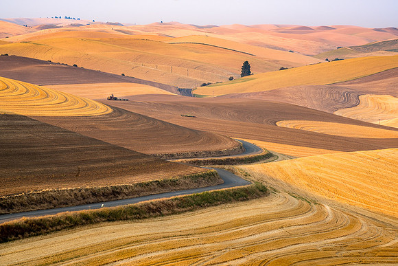 Palouse (39 of 69)