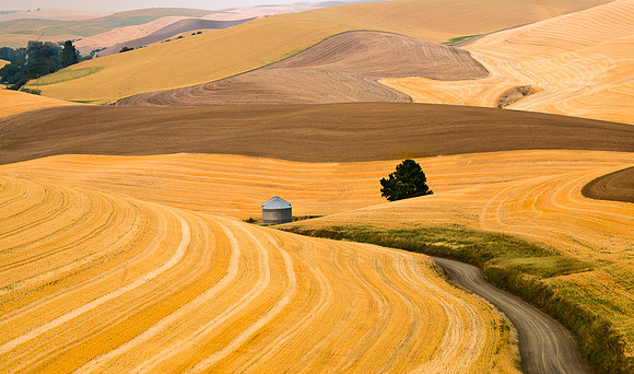 Palouse (40 of 69)