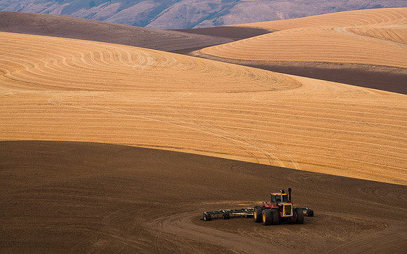 Palouse (41 of 69)