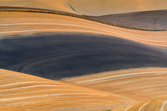 Palouse (43 of 69)