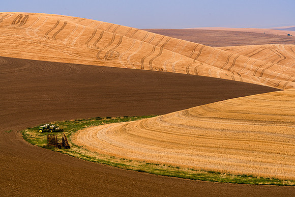 Palouse (44 of 69)