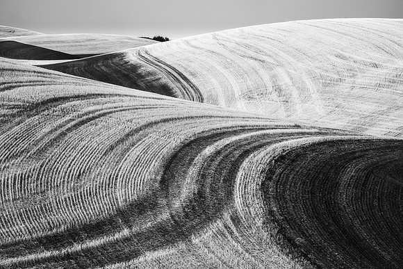 Palouse (45 of 69)