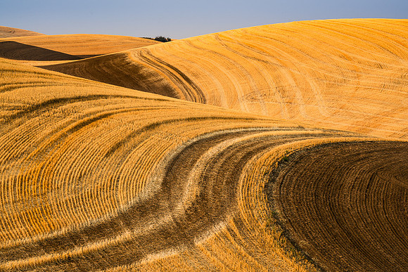 Palouse (46 of 69)
