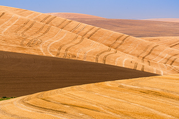 Palouse (47 of 69)